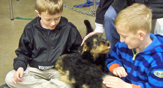 Kids and Puppies