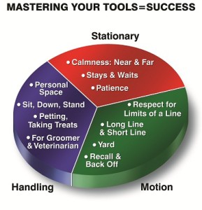 Pie chart for mastering your tools=success